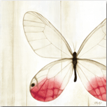 Pink Glasswing panel print